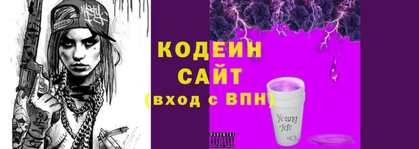 винт Няндома
