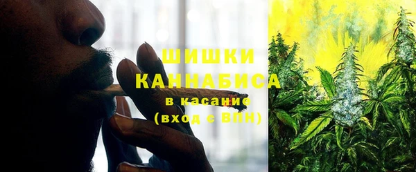 винт Няндома