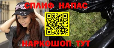 шишки Дубна