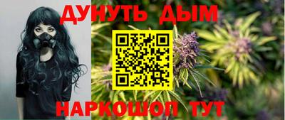 сатива Донской