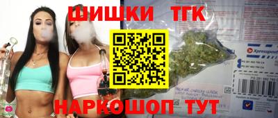 шишки Дубна