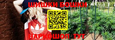 молекула духа Донецк