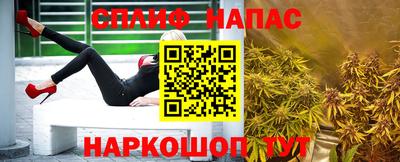 шишки Дубна