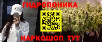 молекула духа Донецк