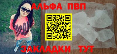 шишки Дубна